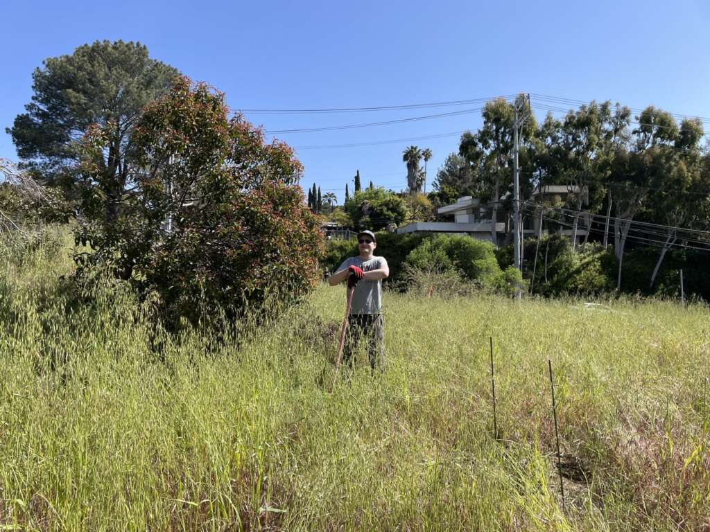 Citizens for Los Angeles Wildlife Re-wilding Mulholland and Laurel Canyon open space